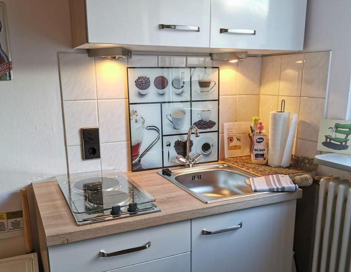 רדולפצל אם בודנזי Ferienwohnung Seeliebe מראה חיצוני תמונה